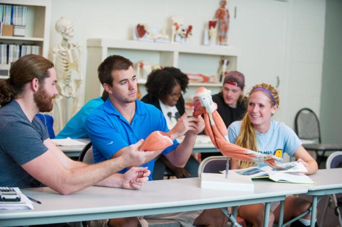 Students inspecting a skeleton with muscle structure.