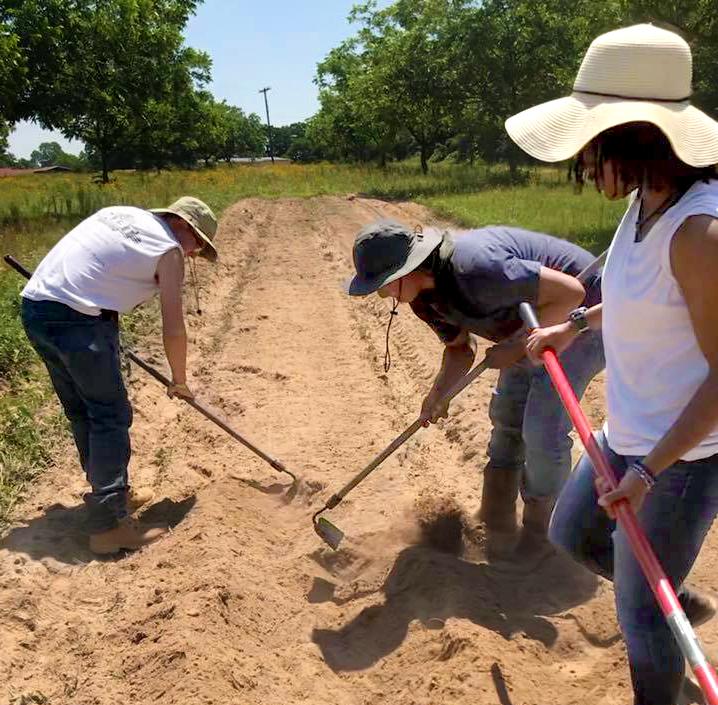 Tamuc students working on prepare the soil before planting crops to gain their hands-on experience. 